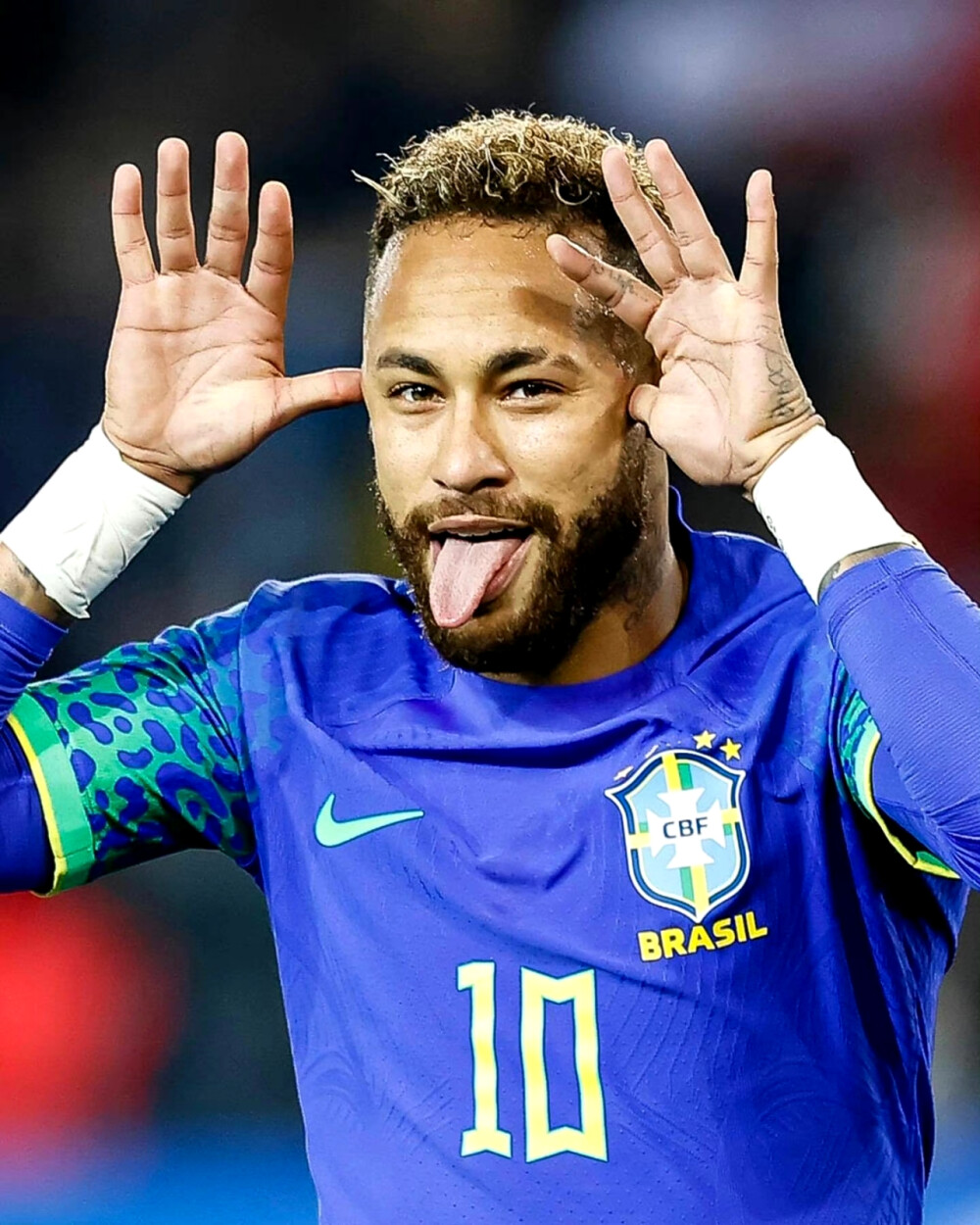 将在这些先 将在这些先