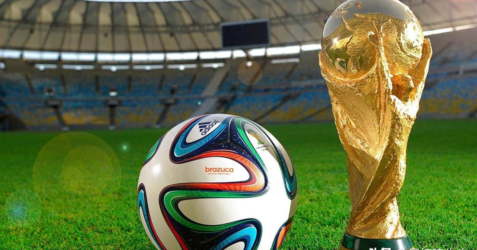 侵略性的比 侵略性的比