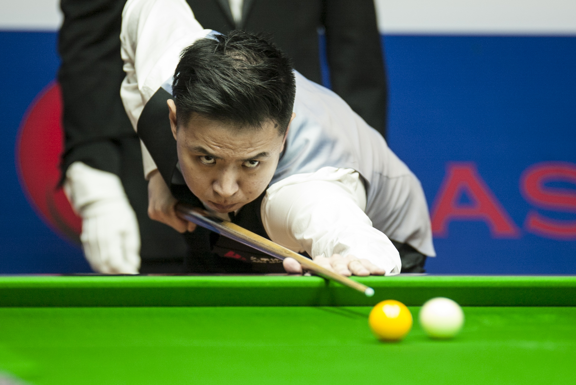 项目上已具 项目上已具