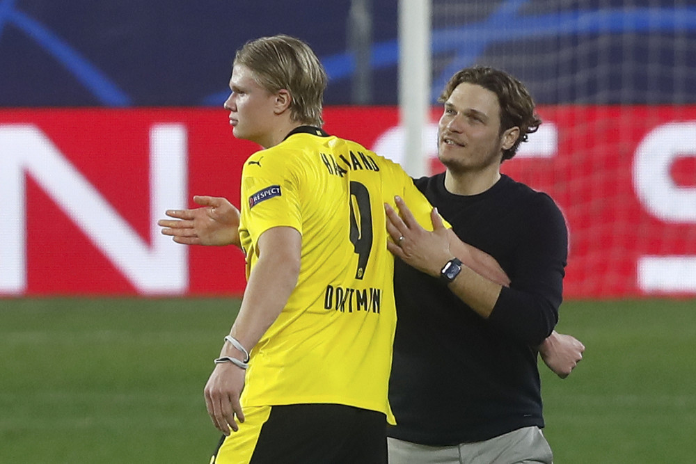 粉丝的期望 粉丝的期望